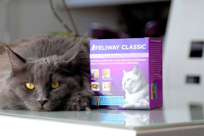 F.F.A.Q (FELIWAY Frequently Asked F.F.A.Q (FELIWAY Frequently Asked